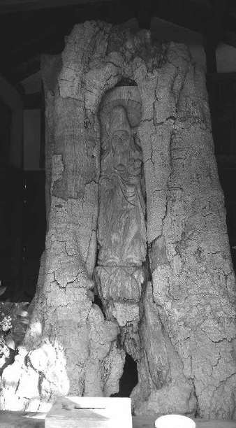Tachiki Koyasu Kannon, Tōkō-ji, Inagawa-chō — carved in living kaya tree. Source: Fujii 2021 fig.1 (author's photograph)